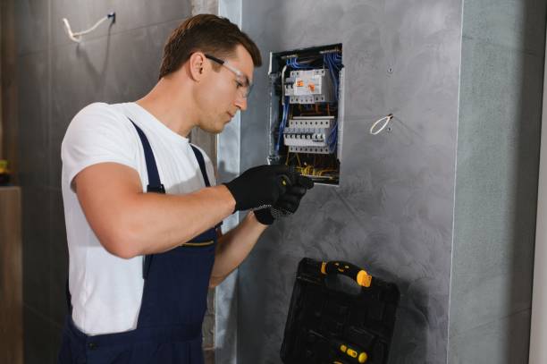 Best Electric Panel Repair  in Goldsboro, NC